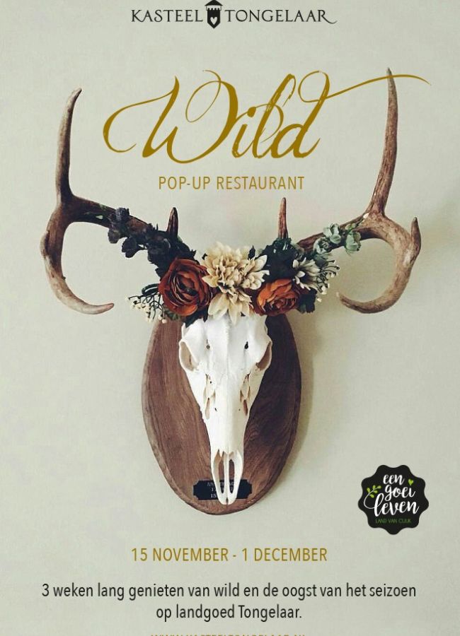 Wild POP-UP restaurant