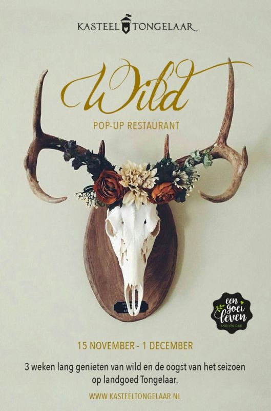 Wild POP-UP restaurant