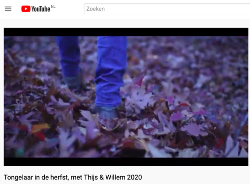 video_thijs_willem_tongelaar